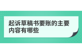 湘西企业清欠服务